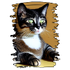 Cat face 9