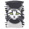 Cat Face 4