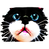 Cracy cat 7