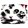 Cracy cat 8