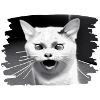 Cracy cat 7