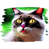 Cracy cat 4