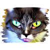 Cracy cat 2