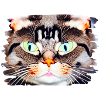 Neon Cat View Portrait