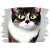 Cracy cat 3