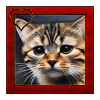 Cat portrait 2