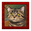 Katzenportrait 3