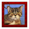 Katzenportrait 4