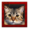Katze im Rahmen 1
