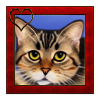 Cat portrait 8