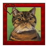 Katzenportrait 5