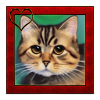 Cat portrait 6