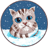Cat Winter Gift Cute