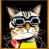 Coole Katze 1