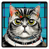 CoolCat 4