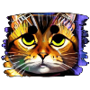 Cool cat 6