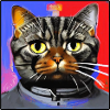 Space cat