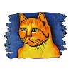 Orange Katze