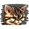 Cat face
