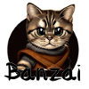 Aventure spatiale Banzai Cat