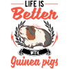 Guinea Pig Gift Guinea Pig