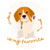 Adopted-Is-My-Favorite-Breed, Adolescent Dog