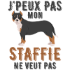 Staffie chien de race
