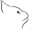 Katze
