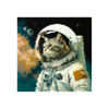 Chat spatial