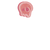 Steak Lover Steak Gift