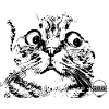 CATLOGVECT