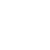 Professional Fantasy Football Player