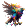 Rainbow Eagle ∞ Rainbow Eagle ∞ vauART