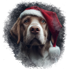Santa Dog 11