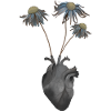 Dead heart