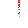 Sport Us Flag Bowling