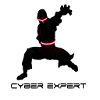 Cyber ninja martial arts