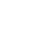 Auditor Jokes Mode OFF