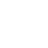 Auditor Gangsta