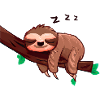 Sloth Gift Idea Sleep