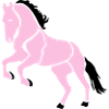 Cabriole cavalière