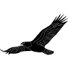 eagle01b