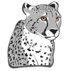 Guépard
