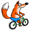 Renard avec VTT