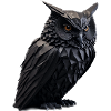 Owl II