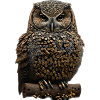 Owl V