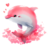 Dolphin Valentine's Day Gift