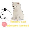 funny cat ever