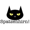 Katze