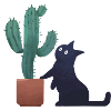 Katze kaktus